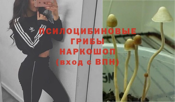 хмурый Кукмор