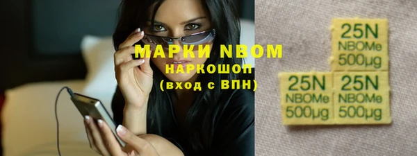 крисы Киров