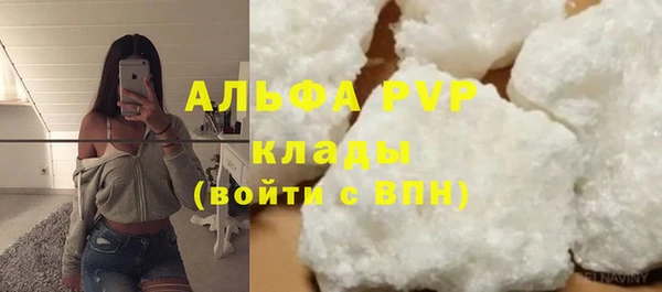 крисы Киров