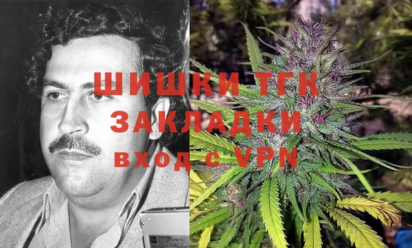spice Лагань